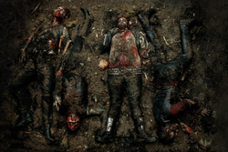 vergrößern / enlarge